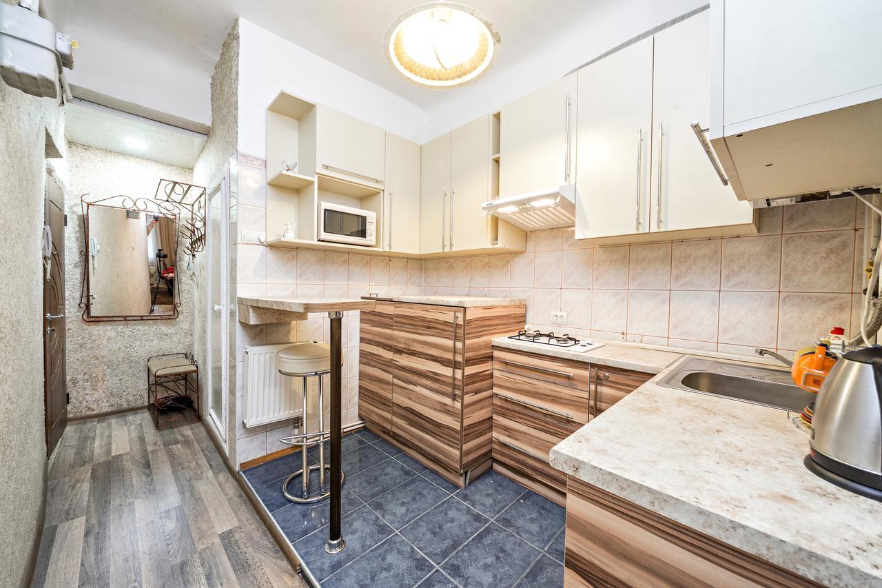 Apartment In A City Center! Krakivska,34 Lviv Dış mekan fotoğraf